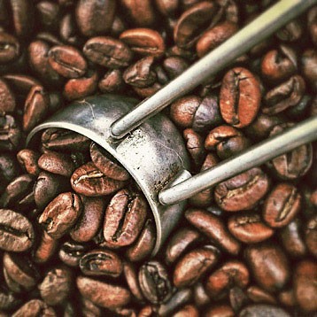 Roasted Coffee Beans